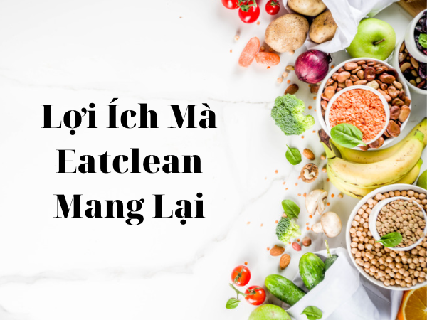 Trí Việt Phát Foods | Eatclean được mọi người lựa chọn | Gia Vị