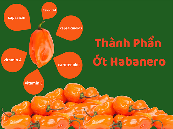 Trí Việt Phát Foods | Ớt Habanero Gia Vị Cay Nồng Cho Món Ăn Tròn Vị